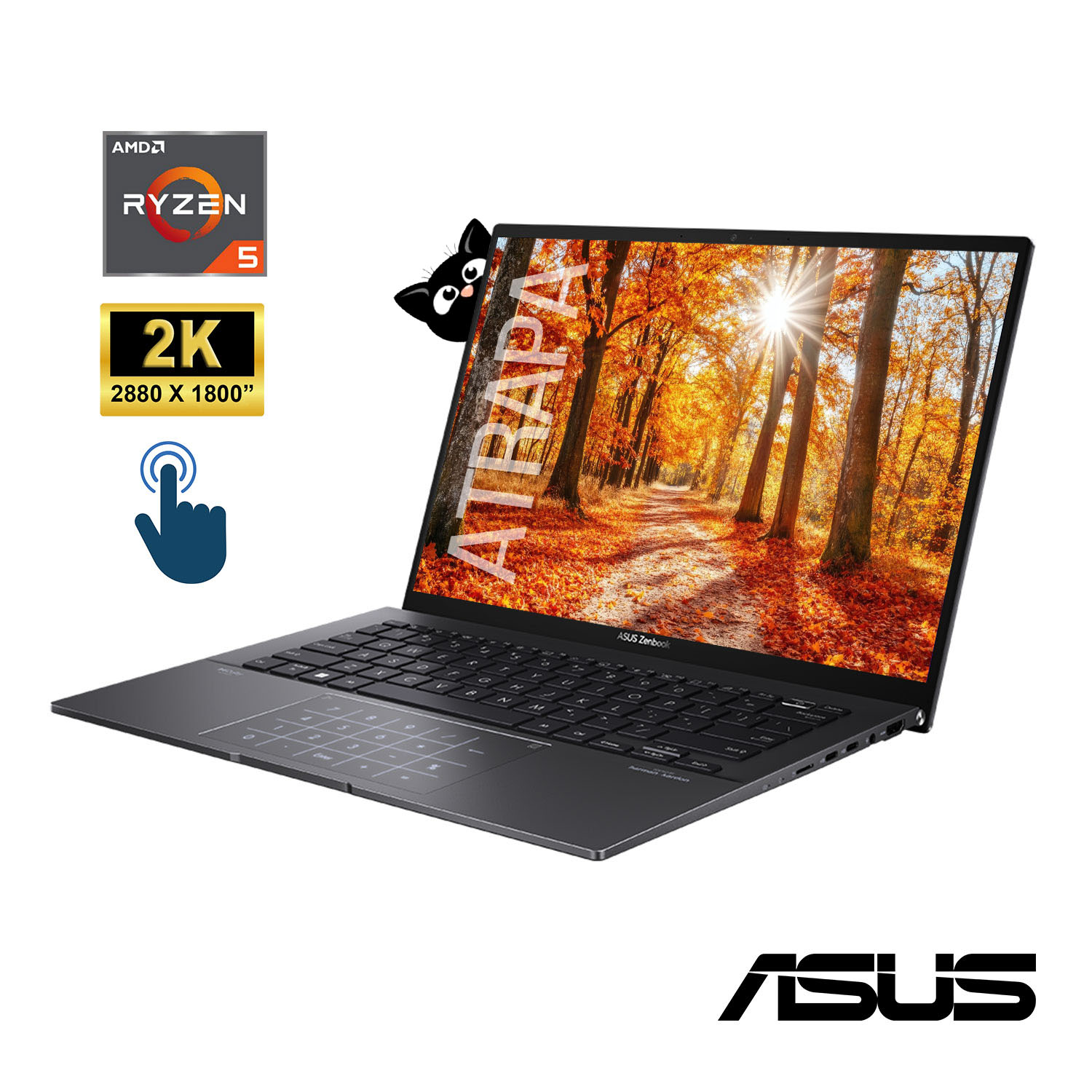Notebook Asus Zenbook AMD Ryzen 5 7530U (SSD / DDR4) TOUCH 2.5K OLED Win11 OUTLET