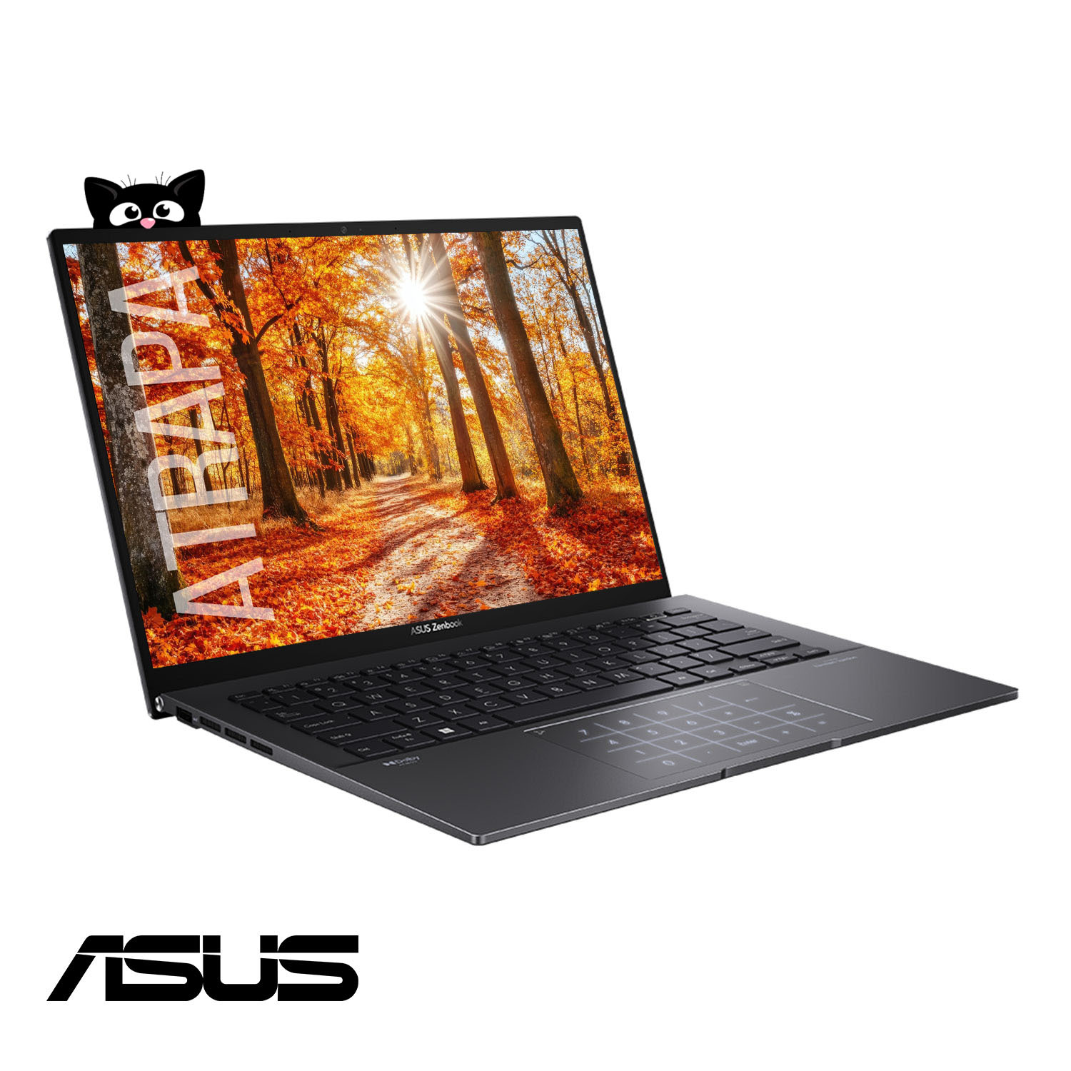 Notebook Asus Zenbook AMD Ryzen 5 7530U (SSD / DDR4) TOUCH 2.5K OLED Win11 OUTLET