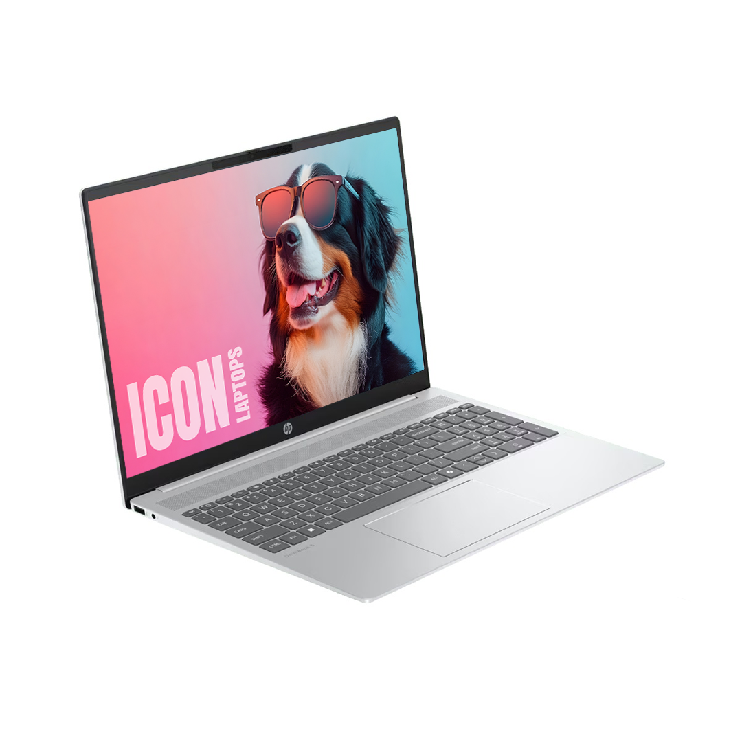 Notebook Hp Omnibook Ryzen 5 8540U (DDR5 / SSD) 16 Wuxga BC1052